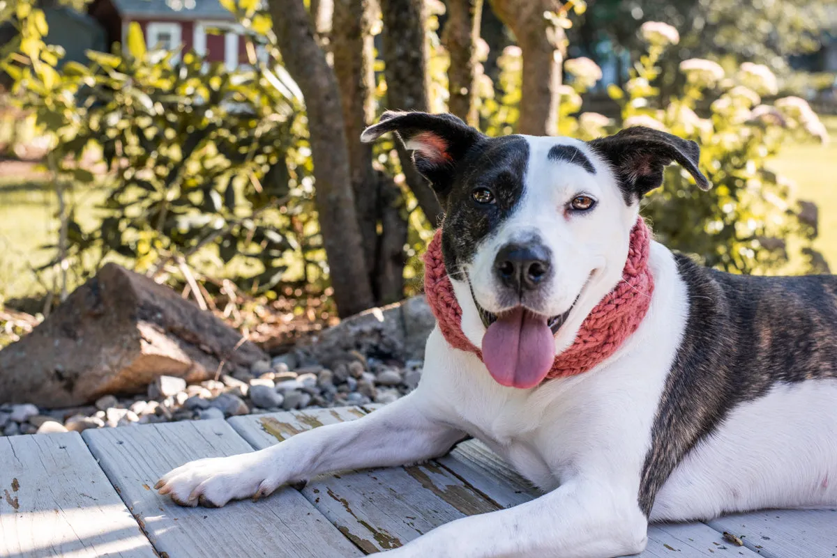 Matching Headband & Cowl Set