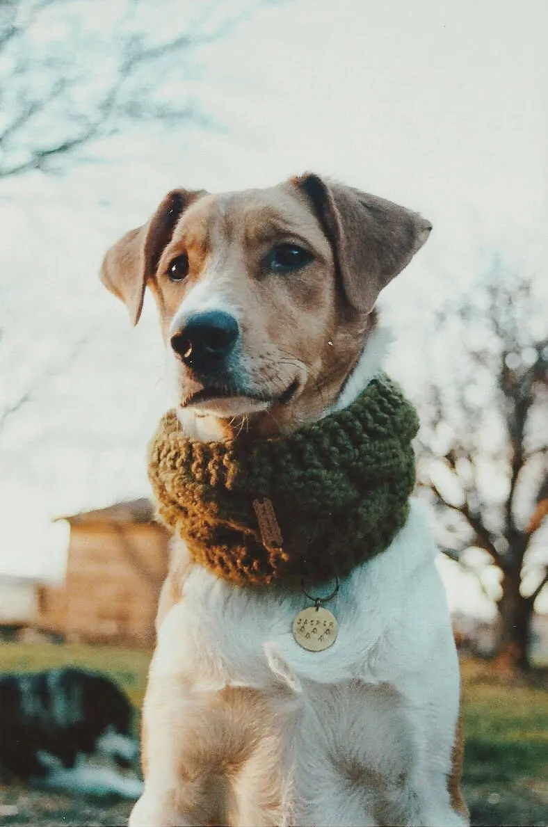 Matching Headband & Cowl Set