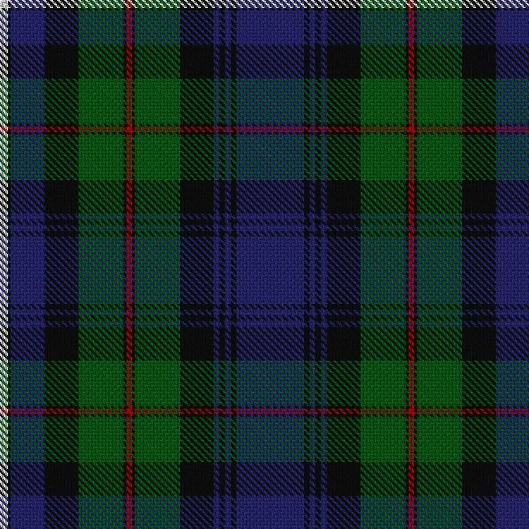 Robertson Hunting Modern Tartan Scarf